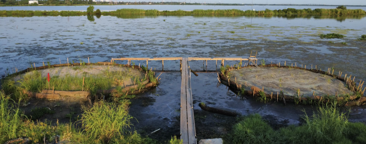 Glass Half Full, founded in 2020 by two Tulane alumni, recycles glass to restore sediment to New Orleans bayous.